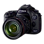 Canon 5D Mark III
